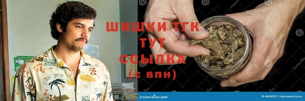 индика Богородск