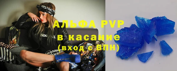 гашик Богданович