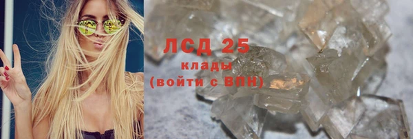крисы Ростов