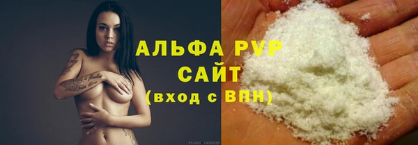 индика Богородск