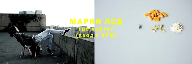 гашик Богданович