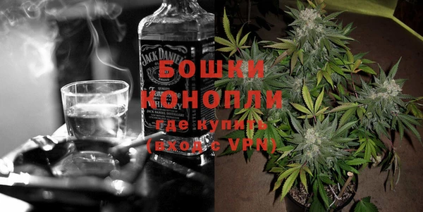 индика Богородск