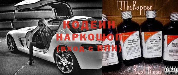 индика Богородск