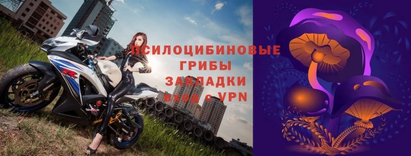 гашик Богданович