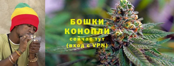гашик Богданович