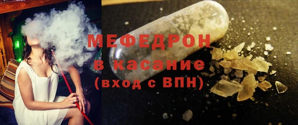 индика Богородск