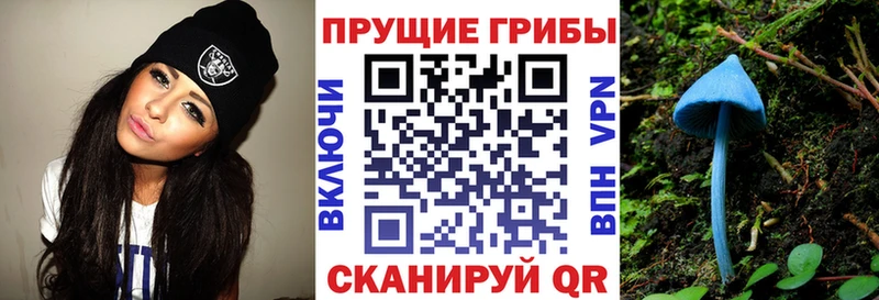 Псилоцибиновые грибы мицелий  Белёв 